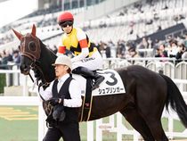 ����å��ǳ��������ɽ�����ޤ�