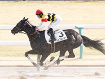 ����å��ǳ��������ɽ�����ޤ�