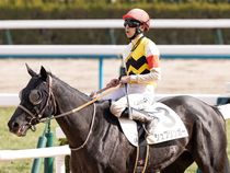 ����å��ǳ��������ɽ�����ޤ�