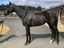 ����å��ǳ��������ɽ�����ޤ�