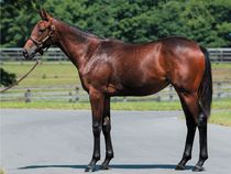 ����å��ǳ��������ɽ�����ޤ�