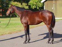 ����å��ǳ��������ɽ�����ޤ�