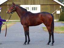 ����å��ǳ��������ɽ�����ޤ�