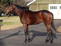 ����å��ǳ��������ɽ�����ޤ�