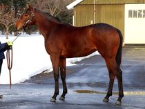 ����å��ǳ��������ɽ�����ޤ�