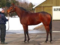 ����å��ǳ��������ɽ�����ޤ�