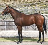 ����å��ǳ��������ɽ�����ޤ�