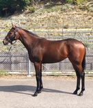 ����å��ǳ��������ɽ�����ޤ�