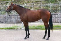 ����å��ǳ��������ɽ�����ޤ�