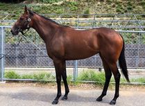 ����å��ǳ��������ɽ�����ޤ�