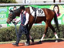 ����å��ǳ��������ɽ�����ޤ�