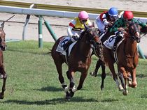 ����å��ǳ��������ɽ�����ޤ�