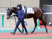 ����å��ǳ��������ɽ�����ޤ�