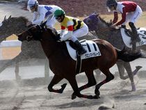 ����å��ǳ��������ɽ�����ޤ�