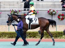 ����å��ǳ��������ɽ�����ޤ�