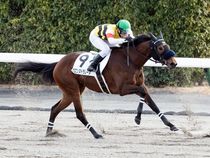 ����å��ǳ��������ɽ�����ޤ�