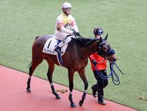 ����å��ǳ��������ɽ�����ޤ�