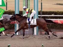 ����å��ǳ��������ɽ�����ޤ�