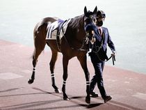 ����å��ǳ��������ɽ�����ޤ�