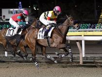 ����å��ǳ��������ɽ�����ޤ�