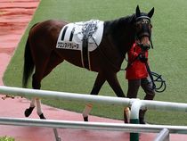 ����å��ǳ��������ɽ�����ޤ�