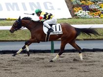 ����å��ǳ��������ɽ�����ޤ�