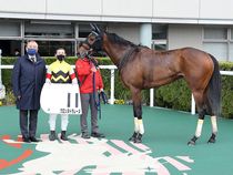 ����å��ǳ��������ɽ�����ޤ�