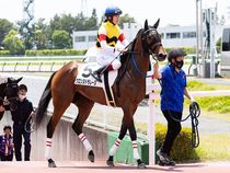 ����å��ǳ��������ɽ�����ޤ�