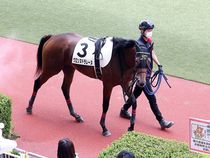 ����å��ǳ��������ɽ�����ޤ�