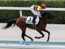 ����å��ǳ��������ɽ�����ޤ�