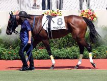 ����å��ǳ��������ɽ�����ޤ�