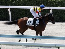 ����å��ǳ��������ɽ�����ޤ�