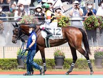 ����å��ǳ��������ɽ�����ޤ�