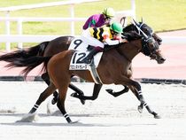 ����å��ǳ��������ɽ�����ޤ�