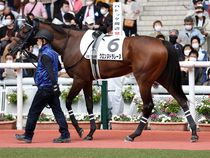 ����å��ǳ��������ɽ�����ޤ�