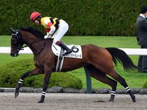 ����å��ǳ��������ɽ�����ޤ�