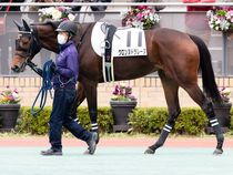 ����å��ǳ��������ɽ�����ޤ�