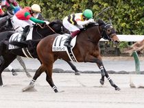 ����å��ǳ��������ɽ�����ޤ�