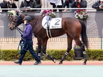 ����å��ǳ��������ɽ�����ޤ�