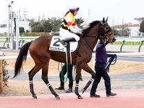 ����å��ǳ��������ɽ�����ޤ�