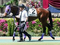 ����å��ǳ��������ɽ�����ޤ�