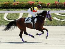 ����å��ǳ��������ɽ�����ޤ�