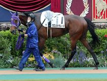 ����å��ǳ��������ɽ�����ޤ�