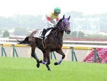 ����å��ǳ��������ɽ�����ޤ�