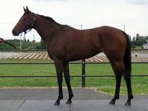 ����å��ǳ��������ɽ�����ޤ�