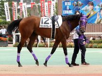 ����å��ǳ��������ɽ�����ޤ�