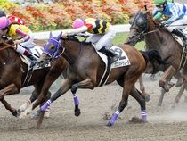 ����å��ǳ��������ɽ�����ޤ�