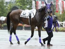 ����å��ǳ��������ɽ�����ޤ�