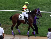 ����å��ǳ��������ɽ�����ޤ�