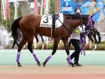 ����å��ǳ��������ɽ�����ޤ�